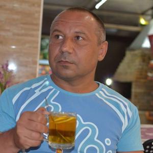 Олег, 54 года, Коломна