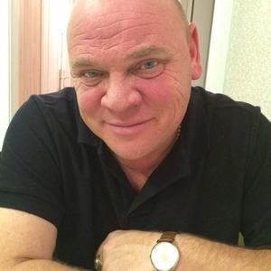 Владимир, 54 года, Электросталь