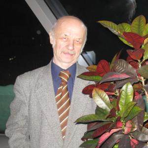 Иванко, 71 год, Ярославль