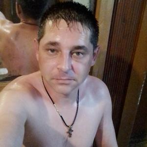 Василий, 38 лет, Луза