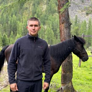 Александр, 29 лет, Краснодар