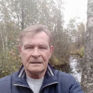 Парни в Санкт-Петербурге: Николай, 70 - ищет девушку из Санкт-Петербурга