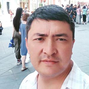 Алишер, 43 года, Ташкент