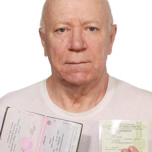 Федор, 65 лет, Саратов