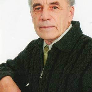 Василий Гречин, 81 год, Новочеркасск