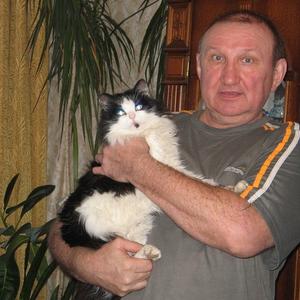 Владимир Труфакин, 63 года, Владимир