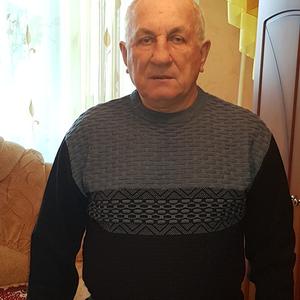 Анатолий, 75 лет, Широкое Болото