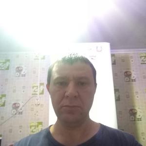 Александр Шмелев, 47 лет, Биробиджан