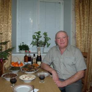 Парни в Вятские Поляны: Владимир, 67 - ищет девушку из Вятские Поляны