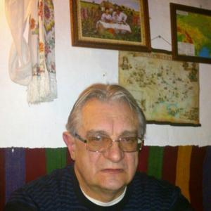 сергей, 65 лет, Санкт-Петербург