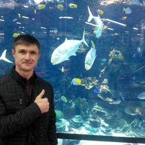 Александр Ткаченко, 39 лет, Белгород