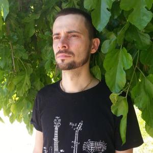 Александр Корнев, 41 год, Таганрог