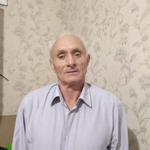 Владимир, 69 лет, Егорьевск