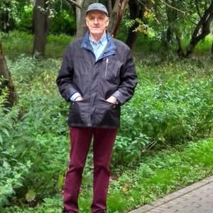 Парни в Ногинске: Влад, 68 - ищет девушку из Ногинска