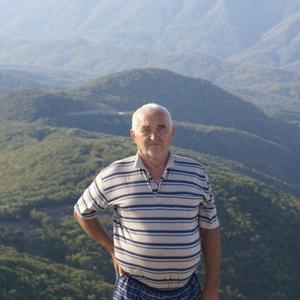 Леонид Зазвонов, 73 года, Новоминская