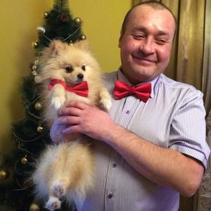 Сергей, 49 лет, Новотроицк
