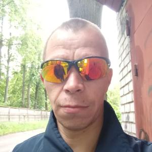 Иван, 40 лет, Александров
