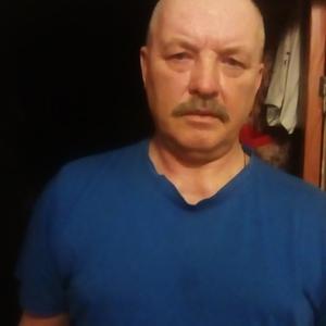 Владимир, 64 года, Льгов