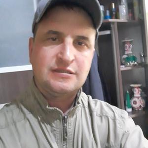 Дмитрий Шандарин, 46 лет, Краснокаменск