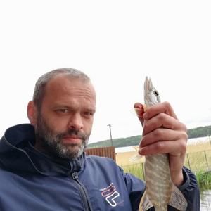 Илья, 46 лет, Пермь