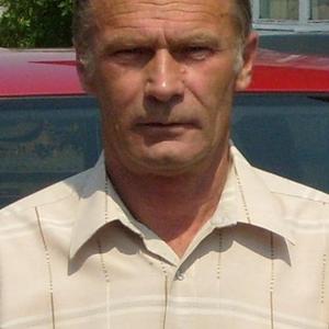 Владимир, 71 год, Чита