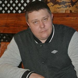Евгений, 44 года, Раменское