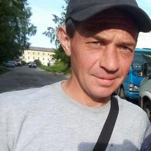 Андрей, 43 года, Брянск