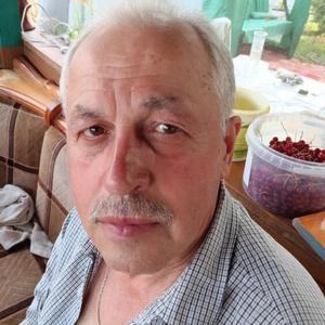 Николай, 67 лет, Тула