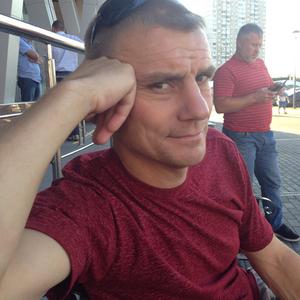 Вячеслав Андреевич, 43 года, Рыбинск