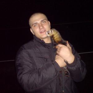 Артем, 41 год, Курск