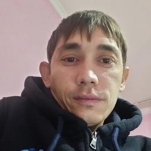 Bohodir, 35 лет, Ташкент