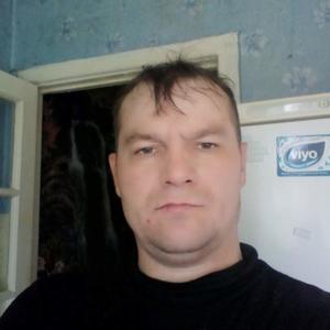 Сергей Андреев, 45 лет, Ефремов