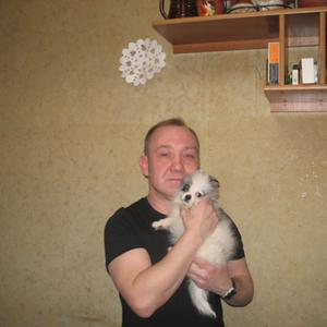 Денис Коломин, 49 лет, Электросталь