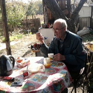 Константин, 75 лет, Старый Оскол