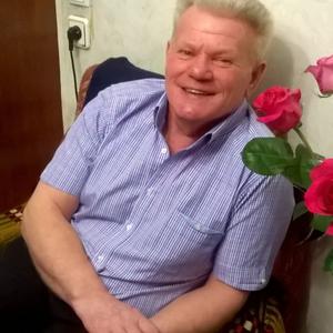 Николай, 72 года, Череповец