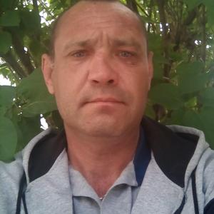 Александр, 48 лет, Ковров