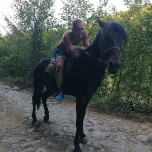 Антон, 40 лет, Димитровград
