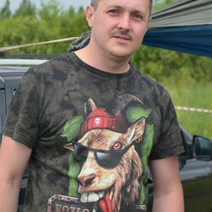Николай Трещалов, 40 лет, Дубна
