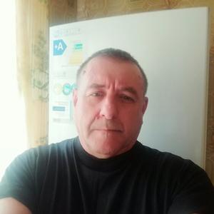 Андрей, 63 года, Электросталь