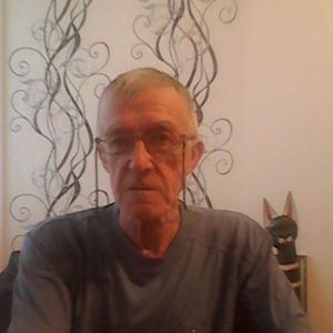 Михаил, 75 лет, Щекино