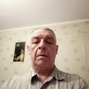 Владимир Степанов, 70 лет, Москва