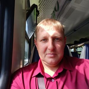 Олег, 42 года, Партизанск