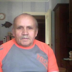 Виктор, 73 года, Тверь