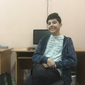 Миша Стрельцов, 23 года, Брянск