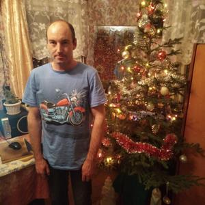 Анатолий Никифоров, 34 года, Шуя