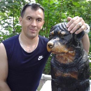 Юрий, 39 лет, Дмитров
