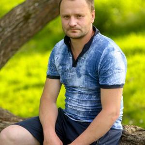 Михаил, 41 год, Владимир