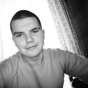 Александр, 25 лет, Владимир