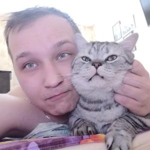 Алексей, 32 года, Щелково
