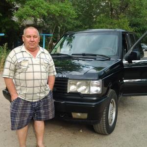 Алексей, 70 лет, Волгоград